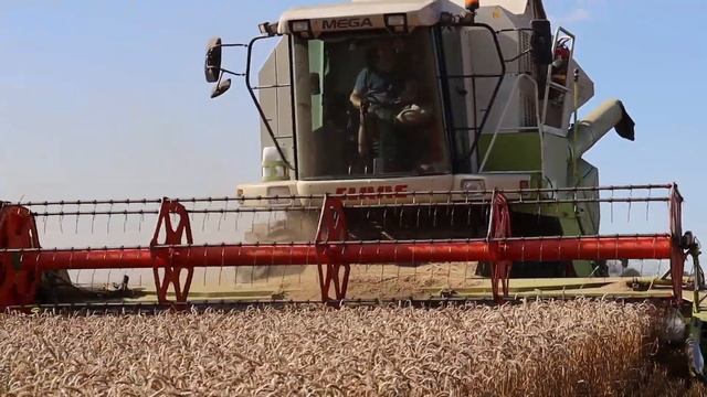 ŽNĚ 2022 | Claas Mega 370 \ Claas Dominator 218 смотреть онлайн