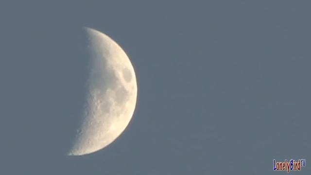 The Moon On October 10 2013 смотреть онлайн