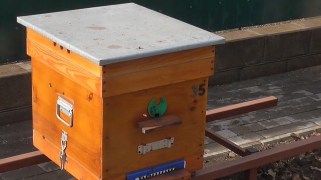 Первый очистительный облёт 2021г смотреть онлайн