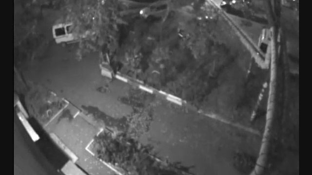 "Как будто медом намазаны". Жители возмущены кражами цветочных горшков в центре Саратова смотреть онлайн