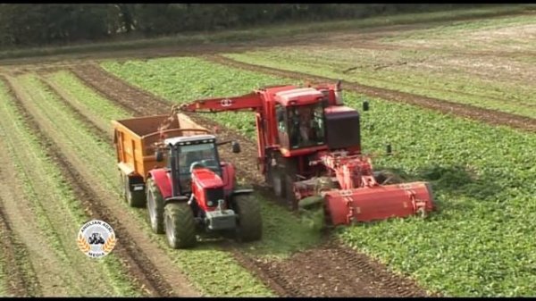 Matrot M41H harvesting sugar beet with Massey Ferguson 6499 and Fendt 718 Vario carting