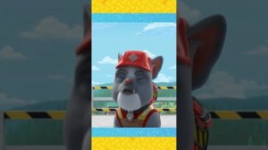 Крепыш и команда | Семья удивляет Чарджера  #Shorts