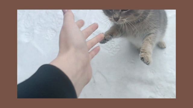 выходнойëс гуртын! смотреть онлайн