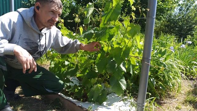 2июня . Юпитер 2023