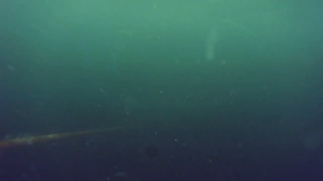 Neptun brygge 2 TR 3,4,5 смотреть онлайн