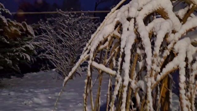 Приморка. Снежный рассвет 4,02 (1)