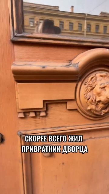 Самый маленький дом в Спб 🏠 смотреть онлайн