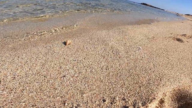 Egypt Marsa Alam - Malikia Resort 2021 смотреть онлайн