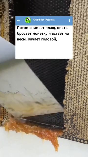 Анекдот про девушку и весы 😂 #анекдоты #приколы #юмор #мемы #shorts смотреть онлайн