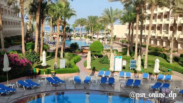 Sea Star Beau Rivage 2