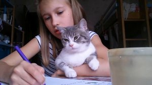 Как стать русалкой???