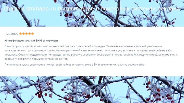 Отзывы smmapp.ru продвижение в поисковых системах реклама смотреть онлайн