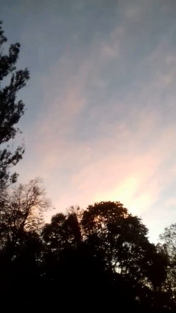 ЗНАКИ НЕБЕС. Алла Сидельникова исследует знаки судьбы на прогулке по парку Горького.МирУниверсологи смотреть онлайн