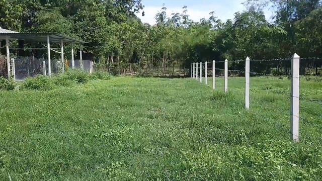 Bán Đất Nền Giá Rẻ DT: 10×65, Thổ Cư 60m2 ở Hiệp Thạnh, Gò Dầu. Giá 115 Tr m/ng. Hướng Bắc смотреть онлайн