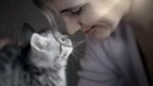 ваша киска купила бы Whiskas реклама