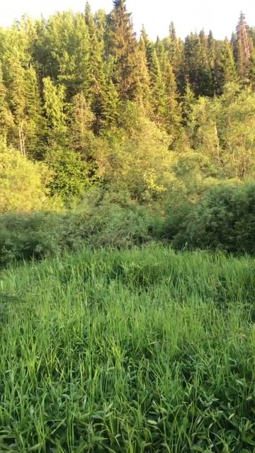 Enhancing Experiences