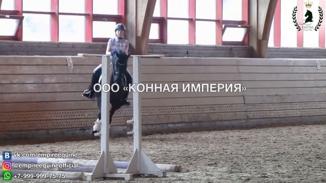 0462 смотреть онлайн