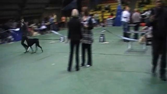 Зима и Вулкан на выставке 10.12.11..wmv смотреть онлайн
