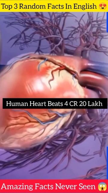 Top 3 Random Facts In English 😱| कुछ ज्यादा ही Facts Random हो गए 😂 #shorts