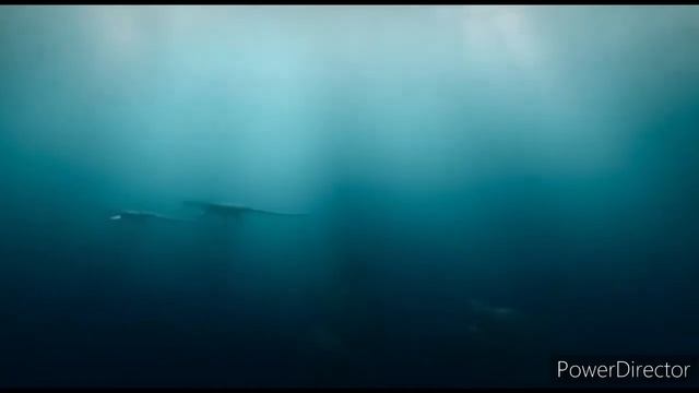 Prehistoric Planet amv matisyahu - Live A Warrior смотреть онлайн