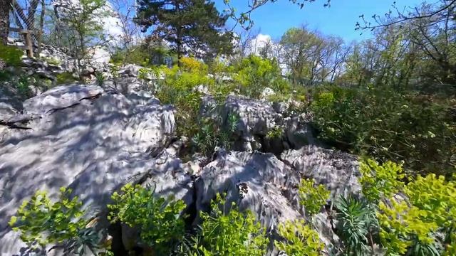 16 Giardino Botanico Carsiana смотреть онлайн