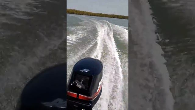 Motor Mercury 15 Hp super no corisco смотреть онлайн