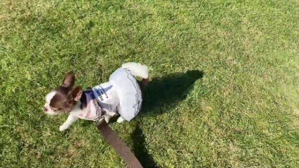 Обзор отеля...NIRVANA COSMOPOLITAN♥♥♥