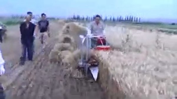 Аппарат Гандум занак