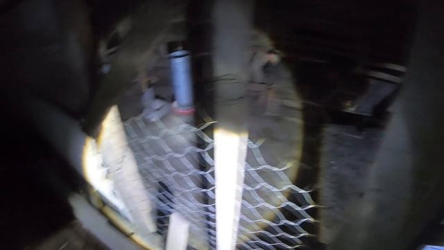 Lobisomem mata galinha e deixa gato estraçalhado смотреть онлайн