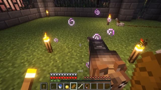 КТО УБИЛ МОЮ СОБАКУ В МАЙНКРАФТ ! Алексбой Minecraft смотреть онлайн