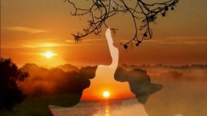 Солнышко лесное .Юрий Визбор