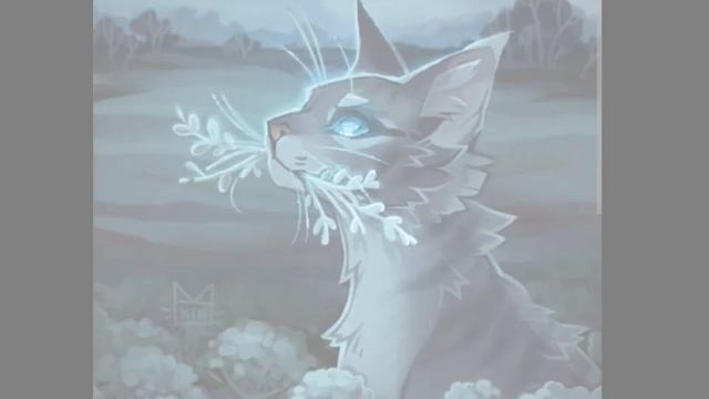 # котывоители