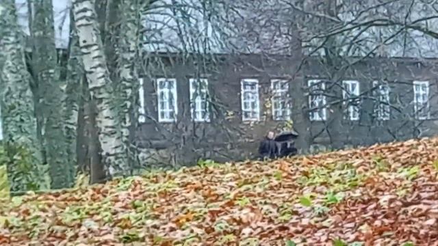 Псков, тригорское 13 смотреть онлайн