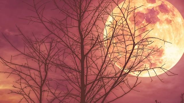 New Moon in Taurus | MAY 11 | Sculpting a New Experience смотреть онлайн