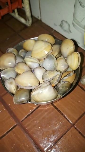Oyesters Mussels #nainasgarden смотреть онлайн