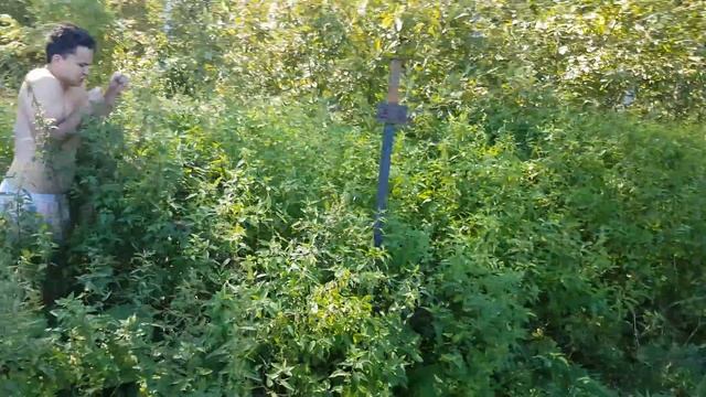 На спор через 2 метровую крапиву боль смотреть онлайн