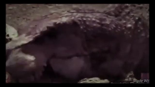 Тарбозавр. Believer. смотреть онлайн