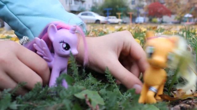 MLP муви 