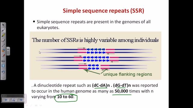 Simple sequence repeat (SSR) or microsattelite смотреть онлайн