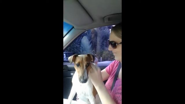 Мотоцикл для великана смотреть онлайн