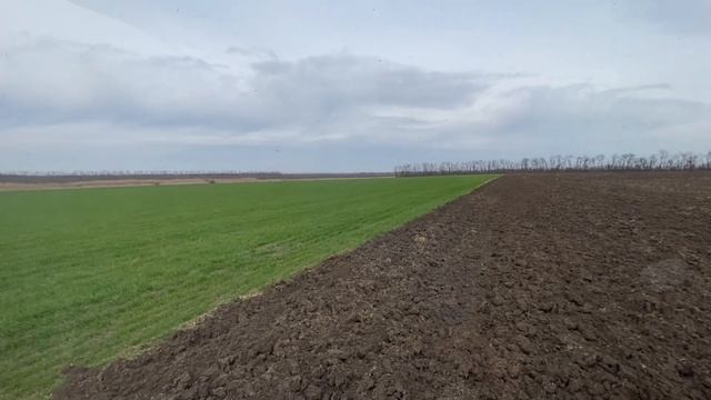 Продолжаем культивировать | Культивация после чизеля | Успеть до дождя | Нужен дождь смотреть онлайн