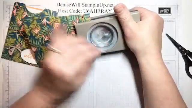 Pocket Card using Tropical Oasis Suite from Stampin' Up! смотреть онлайн