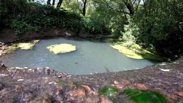 Летнее солнцестояние/Summer solstice смотреть онлайн