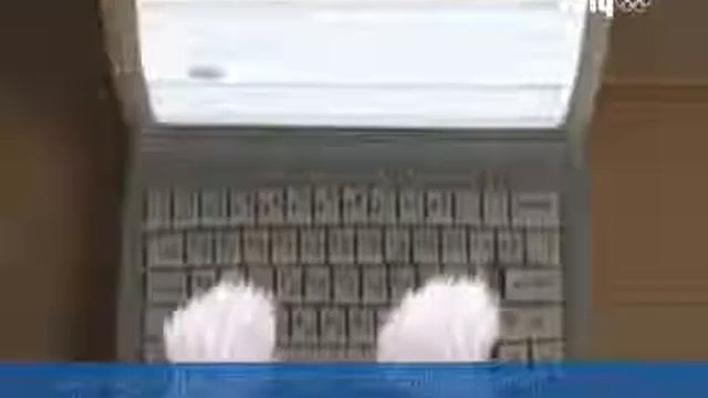 Зайка  Талисман Олимпиады  Сочи 2014