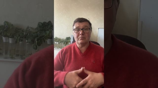 Солнечное @ затмение 08.04.24 смотреть онлайн