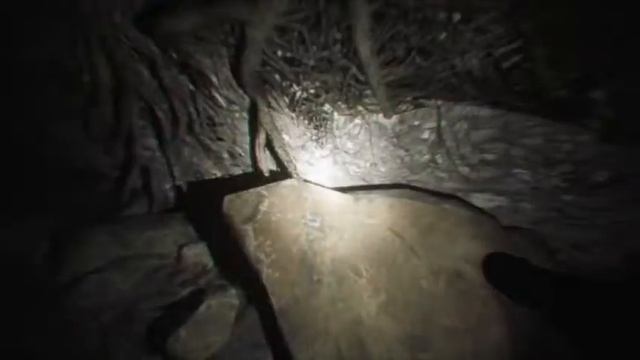 Blairwitch Win64 Shipping Win7 2021 01 05 03 32 25 425 смотреть онлайн