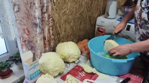 Квашу капусту ,сушу цукаты .