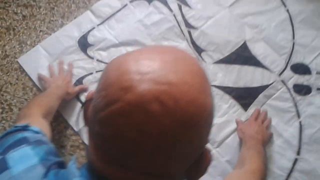 Cometa Mariposa (tercera Parte)