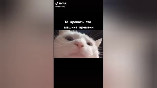 КРИНЖ ТИК ТОКА, ОУ МАЙ))/Tik Tok Video смотреть онлайн