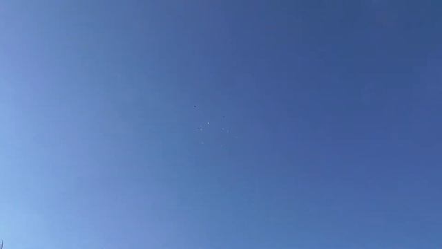 Бойные голуби смотреть онлайн